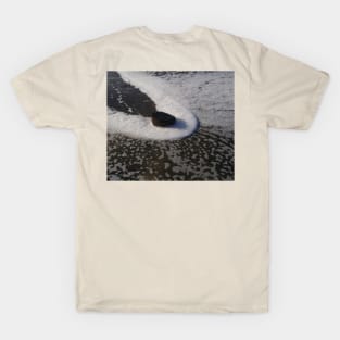 Gentle Strength T-Shirt